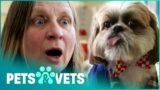 Genius Dog Does Unbelievable Tricks | The Dog with an IQ of 102 | Pets & Vets