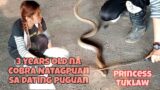 Ginang Napasigaw Matapos Makita ang Cobra sa Dating Puguan, to the Rescue naman si Princess Tuklaw!