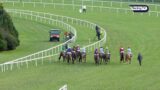 HOME BY THE LEE claims Christmas Hurdle glory at Leopardstown   – Racing TV