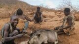 HUDZABE TRIBE FULL DOCUMENTARY: Hunting, Archery, Singing And All Their Lives  | Hunter Gatherers