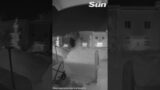 HUGE fireball shoots across the sky as Ursid meteor shower peaks #shorts