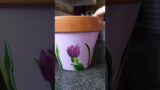 Hand painted tulip terracotta plant pot #garden #handpainted #spring #tulip #flowers