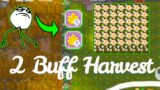 Harvest Cotton Using 2 Buffs – Harvest Town