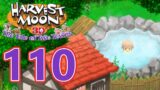 Harvest Moon: Tale of Two Towns 3DS – Episode 110: Hot Spring is Lukewarm