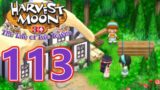 Harvest Moon: Tale of Two Towns 3DS – Episode 113: Carpenter's Fan Club