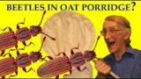How Did Sawtoothed Grain Beetles Orysaephilus surinamensis Infest Oat Flakes and Oat Porridge?