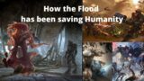 How the flood saved Humanity  | Halo Theory