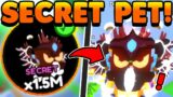 I HATCHED THE FIRST EVER SECRET PET… in Sword Fighters Simulator