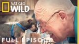 Jingle Pols with The Incredible Dr. Pol (Full Episode) | The Incredible Dr. Pol