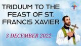 (LIVE) Healing Service, Holy Mass and Eucharistic Adoration (3 December 2022) Divine UK