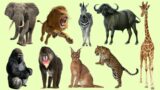 Learn African Animal Names and Sounds for Kids – Teach Wild Animal Sounds – Smart Kids Pedia