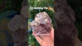 Lepidolite to the Rescue