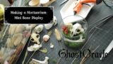 Making A Mortuarium: Mini Bone Display – Prairie Dog Skull Nature Crafts