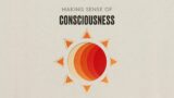 Making Sense Of Consciousness
