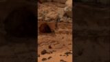 Mars: Perseverance Rover – Find an entrance to the base of the mountain once again #shorts