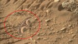 Mars Rover Captured a New 4k Stunning Video Footage of Mars || New Mars Video ||