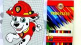 Marshall to the rescue  – coloring the characters of the Paw Patrol | Danik and Lesha
