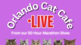 Orlando Cat Cafe Visit from our 50 Hour Marathon Show