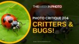 Photo Critique 205 – CRITTERS/BUGS!