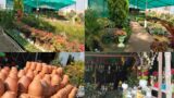 Plant Nursery Visit |  New Flower Plants And Terracotta Pots Have Arrived In Muskaan Nursery ||