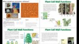 Plant Physiology: Cell Wall Structure Formation and Expansion