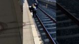 Police Rescue Little Ducks from Train Tracks in Germany || ViralHog