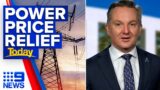 Power price relief looms after crucial government deal | 9 News Australia