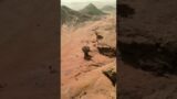 Real footage of Mars by curiosity #shorts #space #mars#ytshorts #youtubeshorts #short#shortvideo