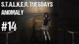 STALKER Tuesday // They're All Dead, Time to Go Shopping!