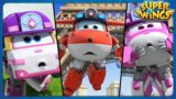 [SUPERWINGS Ranking Show] Troublemaker Animals | Top5 | Superwings | Super Wings