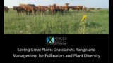 Saving Great Plains Grasslands: Rangeland Management for Pollinators and Plant Diversity