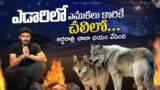 Scary night in the Desert | Biting Cold | Mars like terrain | Jordan | Ravi Telugu Traveller