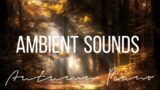 Scenic relaxation piano music autumn for reading, sleeping