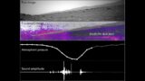 Scientists get first-ever sound recording of dust devils on Mars