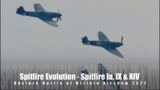 Spitfire Evolution – Spitfire 1a, IX & XIV – Duxford Battle of Britain Airshow 2021   4K