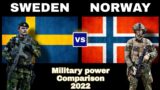 Sweden vs Norway Military power comparison 2022 | Norway against Sweden 2022 | Who would win ?