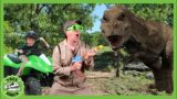 T-REX is TRAPPED! | T-Rex Ranch Dinosaur Videos