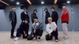 TO1 'Troublemaker' Dance Practice Mirrored