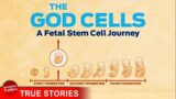 The Future of Medicine? THE GOD CELLS: A Fetal Stem Cell Journey – FULL DOCUMENTARY