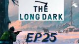 The Long Dark – Against All Odds – EP25