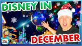 The TRUTH About Disney World in December