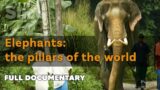 The sacred link between men and elephants | SLICE