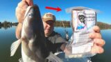 They Sent Me Catfish Bait In The Mail!!! (Blue River Carp)