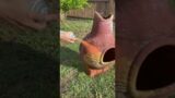 Trashed Chiminea Transformed into Plant Stand
