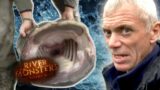Triple Catch Special | Catfish, Eel & Parrot Fish | River Monsters