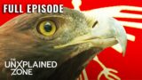 Truth of Bird-Monster Legend Revealed (S1, E4) MonsterQuest | Full Episode