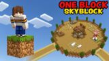 Turning One Block Into a Sky Island! – Minecraft One Block Skyblock | Episode 2