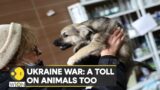 Ukraine: Animal-lover to the rescue, woman lives in basement with 67 dogs | Latest News | WION