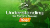 Understanding the Morning Training Schedule for Racehorses on North American Tracks
