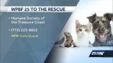WPBF to the Rescue: Humane Society of the Treasure Coast